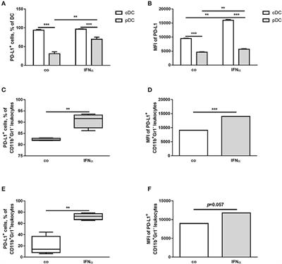 Interferon-α Up-Regulates the Expression of PD-L1 Molecules on Immune Cells Through STAT3 and p38 Signaling